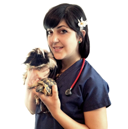dott.ssa laura strada, specialista in animali non convenzionali Clinica Veterinaria San Maurizio